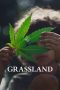 Nonton film Grassland (2025) Nonton film Grassland (2025)